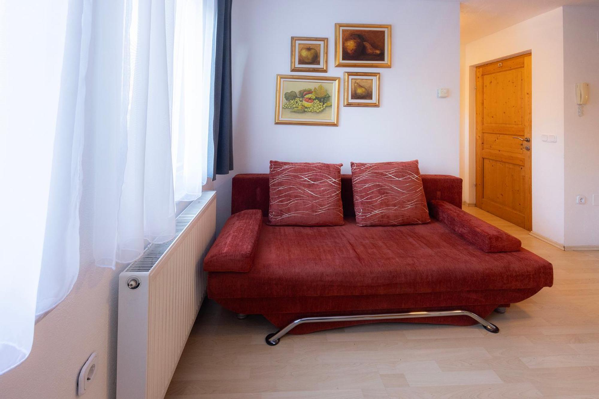Apartmaji Anze Краньска Гора Номер фото